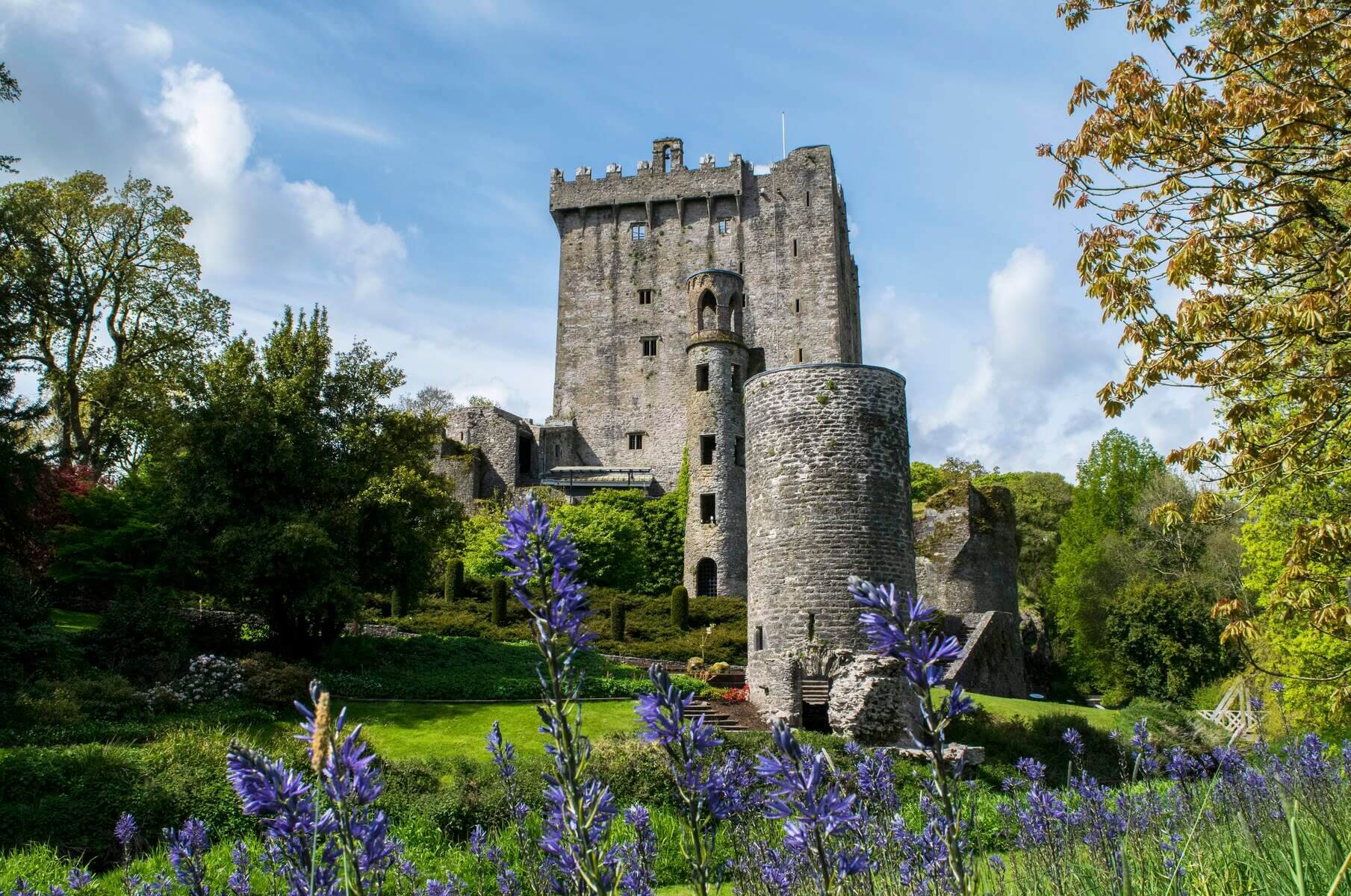 CIE Tours Companion Flies Free 2 For 1 Airfare Sale to Ireland